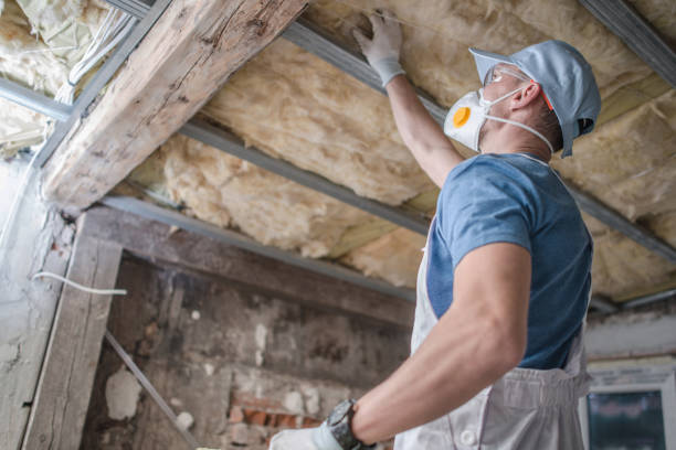 Types of Insulation We Offer in Lexington, TN